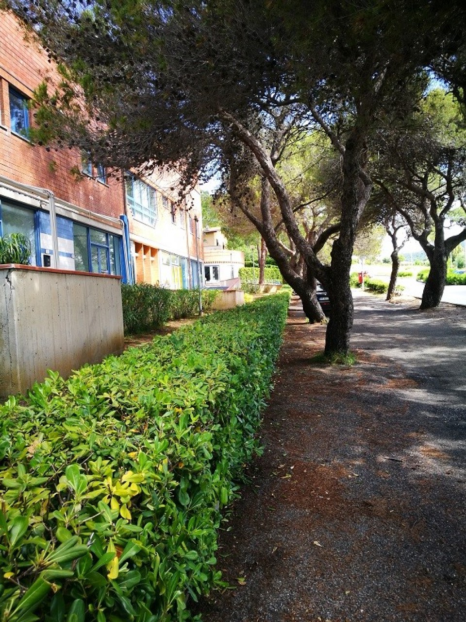 Ufficio in vendita a Castiglioncello, Rosignano Marittimo (LI)