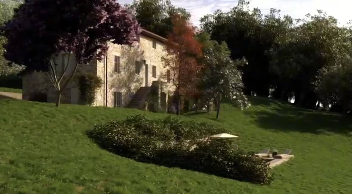 immagine 7