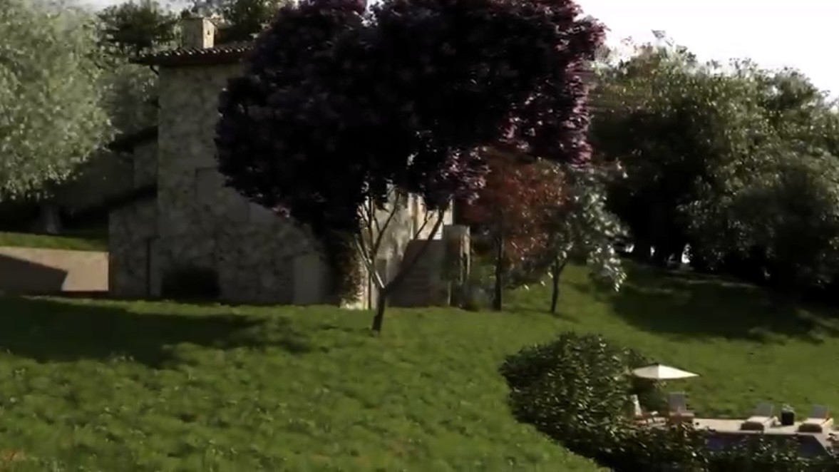immagine 5