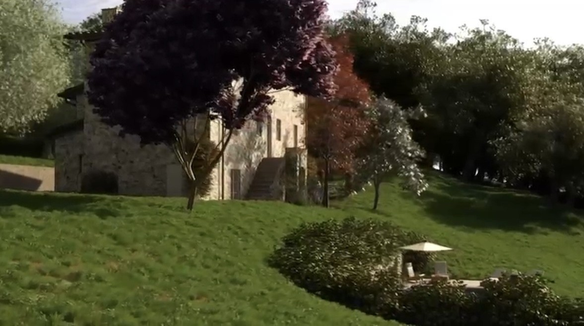 immagine 6