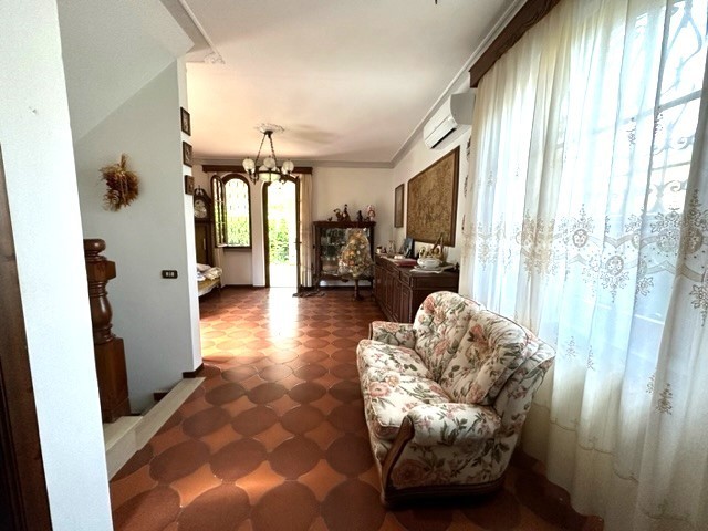 immagine 7