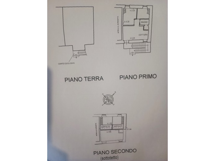 Agenzia Immobiliare Pegasus - Planimetria 1