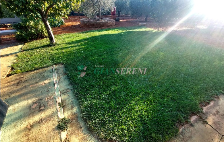 Agenzia Giansereni - 