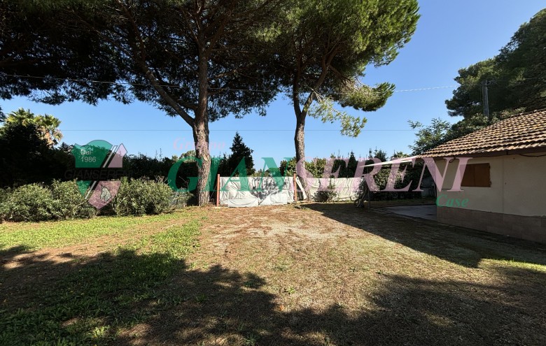 Agenzia Giansereni - 