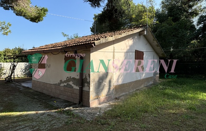 Agenzia Giansereni - 