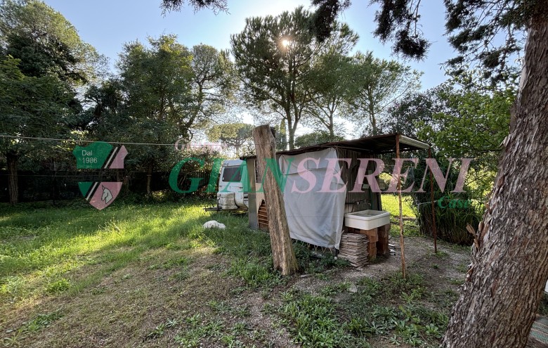 Agenzia Giansereni - 