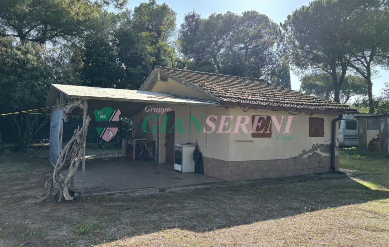 Agenzia Giansereni - 