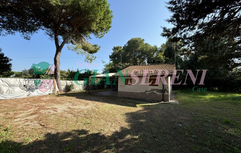 Agenzia Giansereni - 