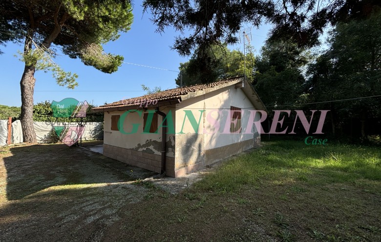 Agenzia Giansereni - 