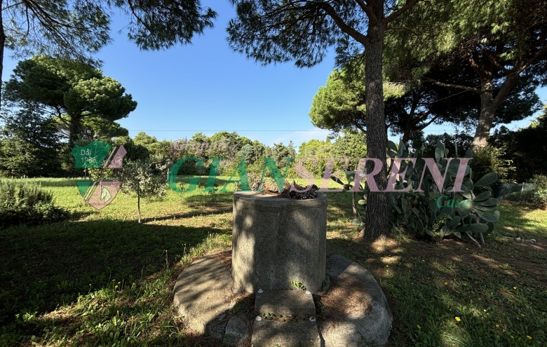 Agenzia Giansereni - 