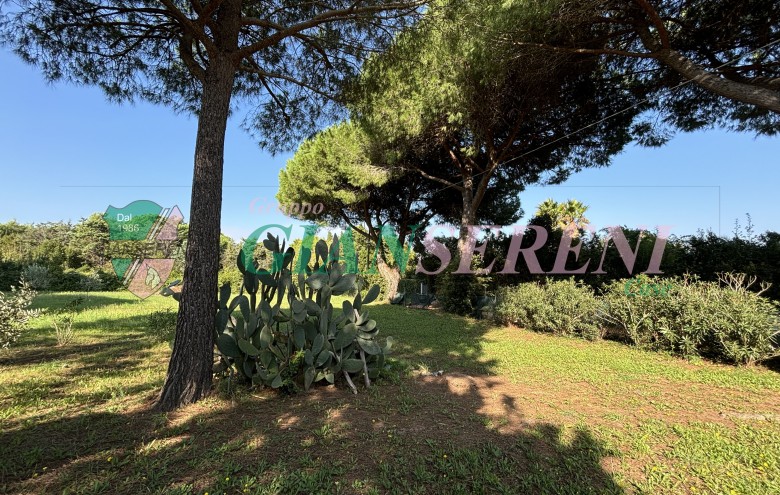 Agenzia Giansereni - 