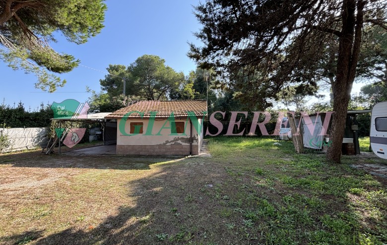 Agenzia Giansereni - 