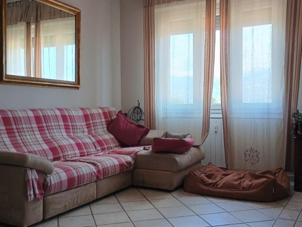 Apartment in on sale, Viareggio 