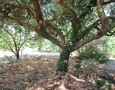 ConTeCasa - 
