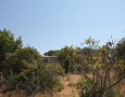 ConTeCasa - 