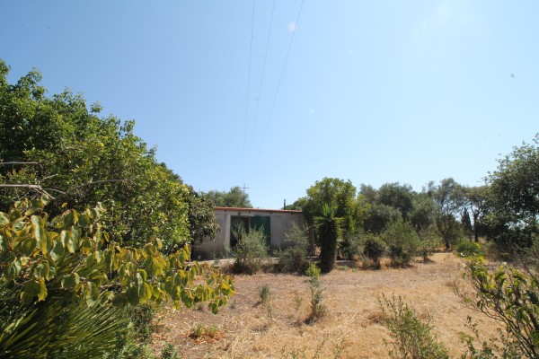 Magazzino con terreno
