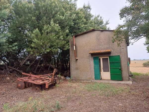 Riferimento AZIENDA - Azienda Agricola in Vendita a Grosseto