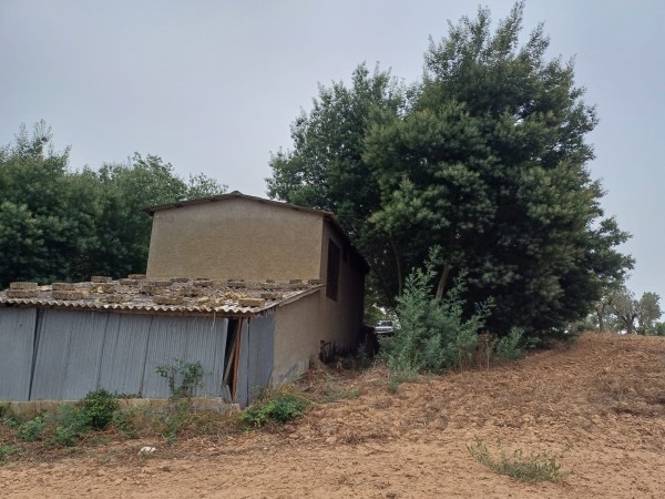 Riferimento AZIENDA - Terreno Agricolo in Vendita a Grosseto