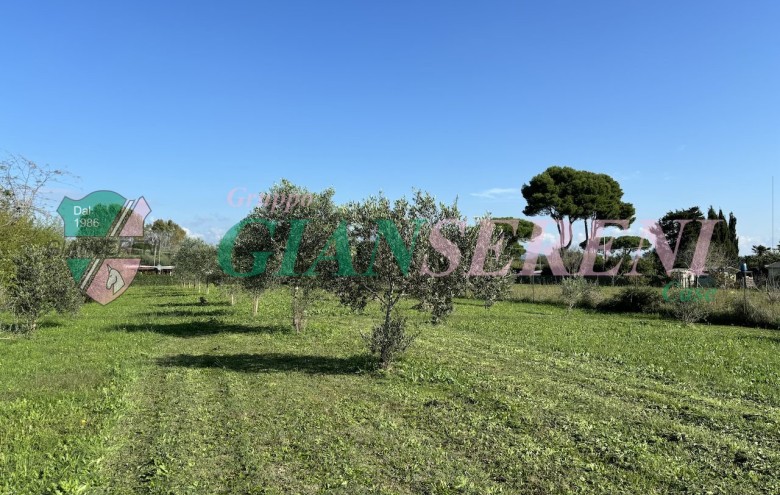 Agenzia Giansereni - 