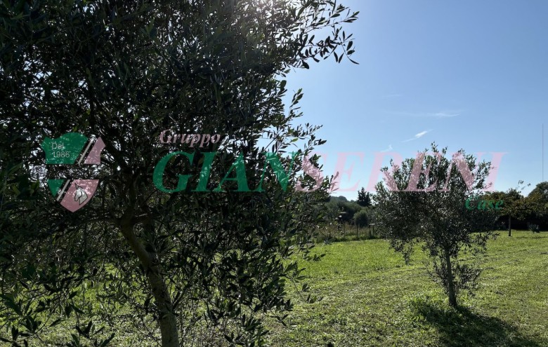 Agenzia Giansereni - 