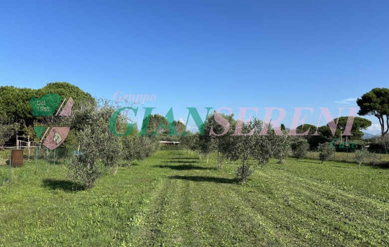 Agenzia Giansereni - 