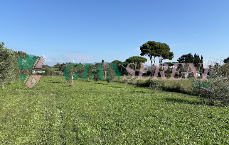 Agenzia Giansereni - 