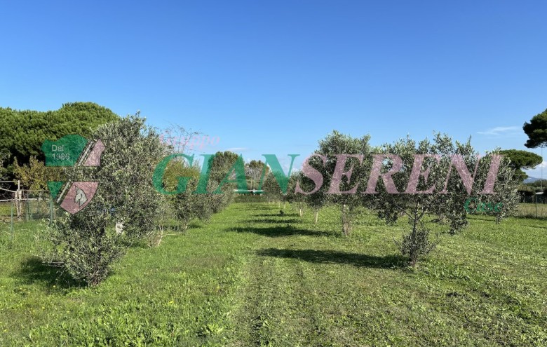 Agenzia Giansereni - 