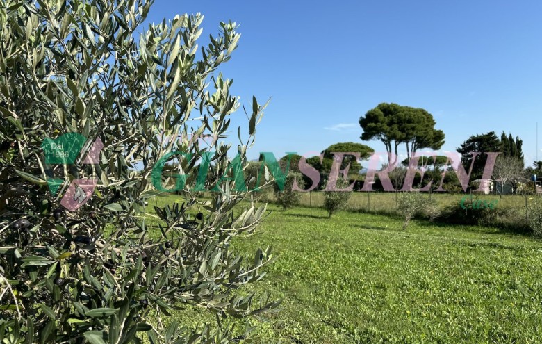 Agenzia Giansereni - 