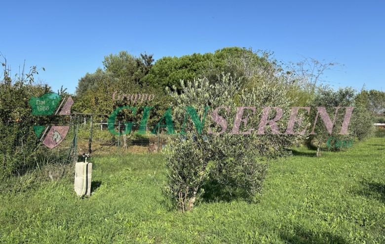 Agenzia Giansereni - 