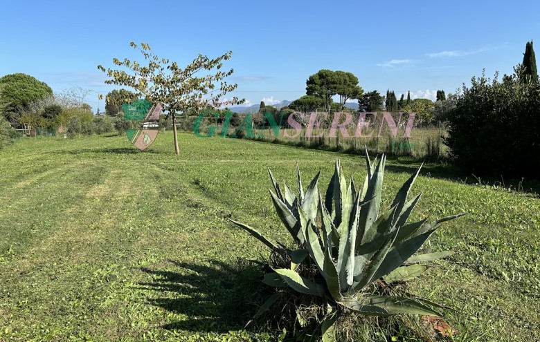 Agenzia Giansereni - 