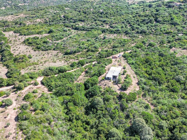 Terreno Agricolo in vendita, Aglientu 