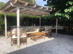 Detached House for rent, Forte Dei Marmi - Centrale - 1