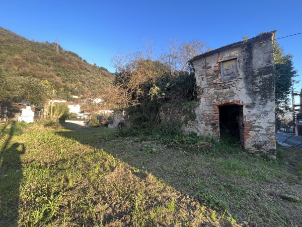 Rustico con 750 metri di verde