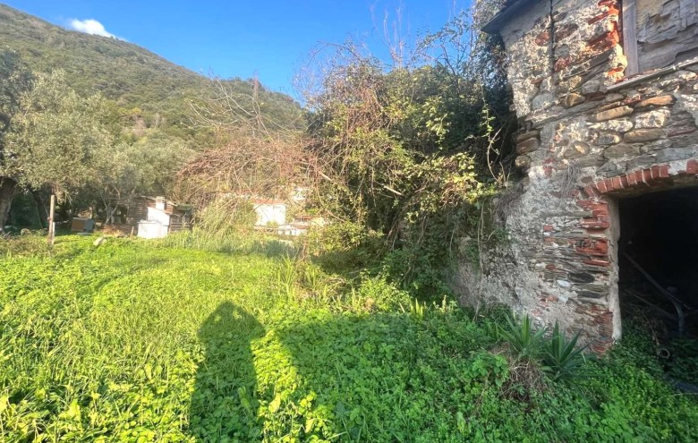 Agenzia Pegasus -