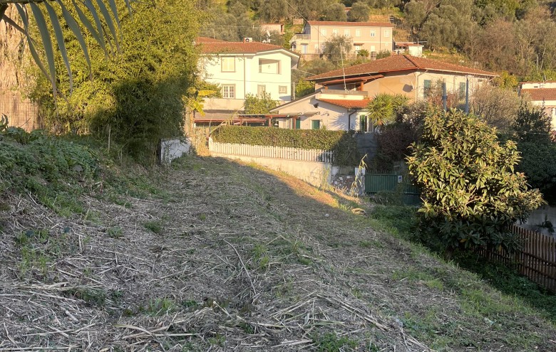 Agenzia Pegasus -