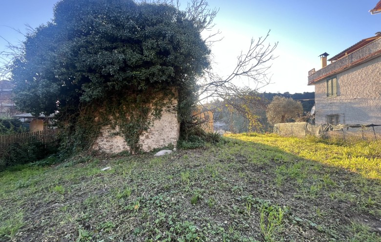 Agenzia Pegasus -