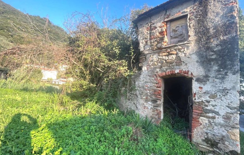 Agenzia Pegasus -