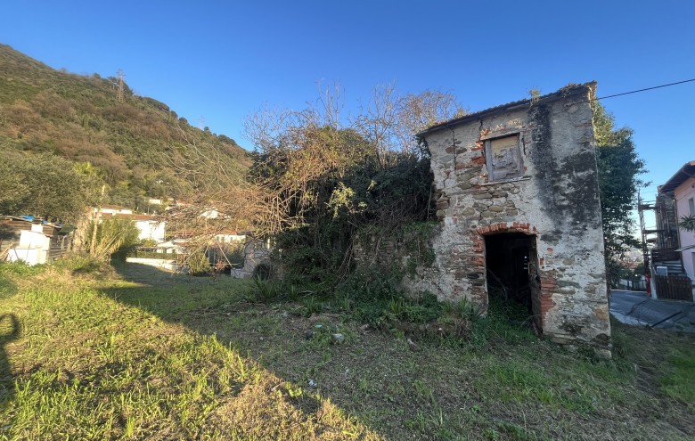 Agenzia Pegasus -