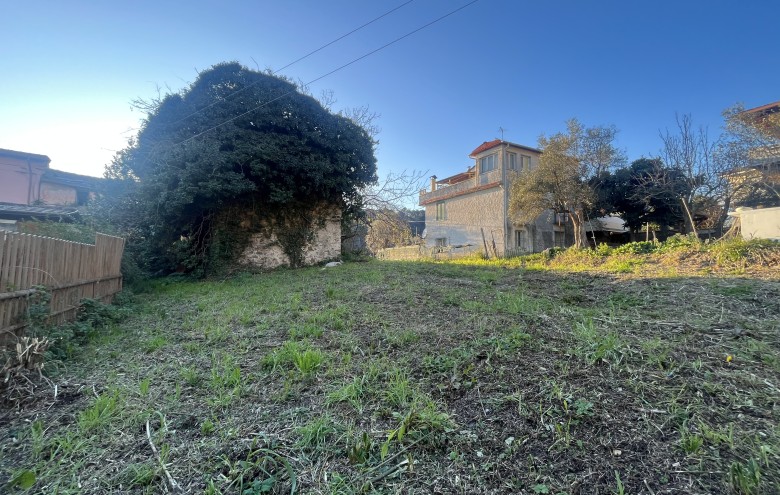Agenzia Pegasus -