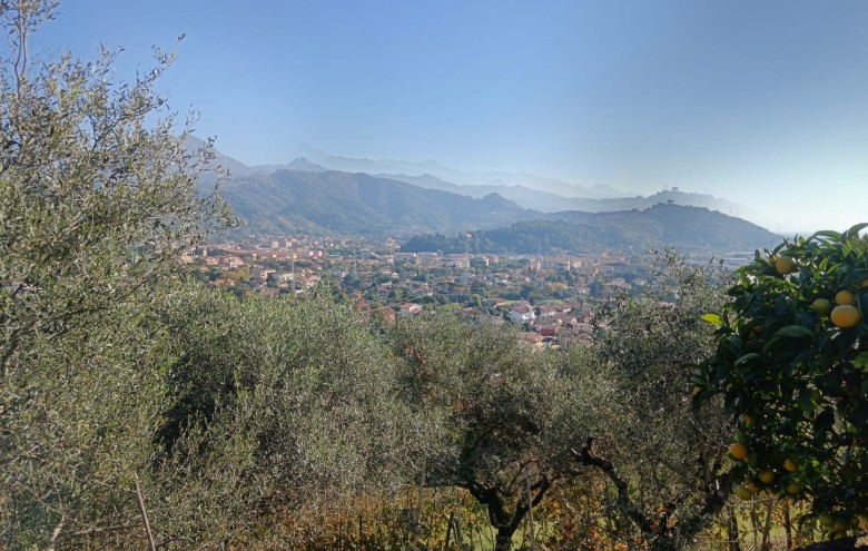 Agenzia Pegasus - 