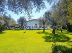 Villa in vendita, Pietrasanta - Vaiana -  1