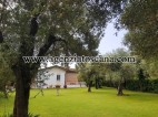 Villa in vendita, Pietrasanta - Vaiana -  2