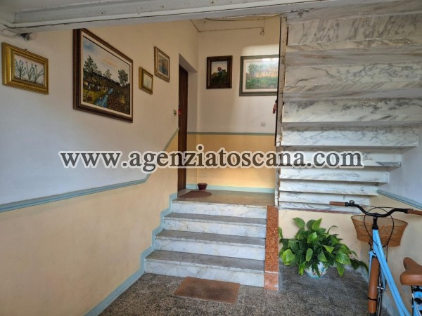 Apartment for rent, Forte Dei Marmi - Levante -  4