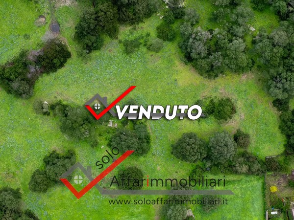 Riferimento TR124 - Terreno Edificabile in Vendita a Enas Fratelli Giua