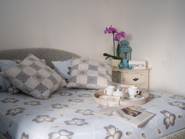 Riferimento SA021 - villa apartment in Rental in Pietrasanta - Marina Di Pietrasanta