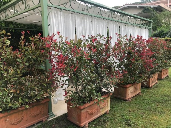 Riferimento SA021 - villa apartment in Rental in Pietrasanta - Marina Di Pietrasanta