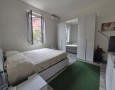 Pegasus - 