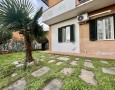 Pegasus - 
