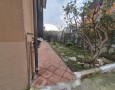 Pegasus - 