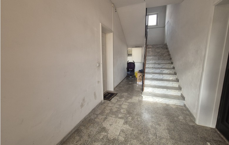 Agenzia Pegasus - 